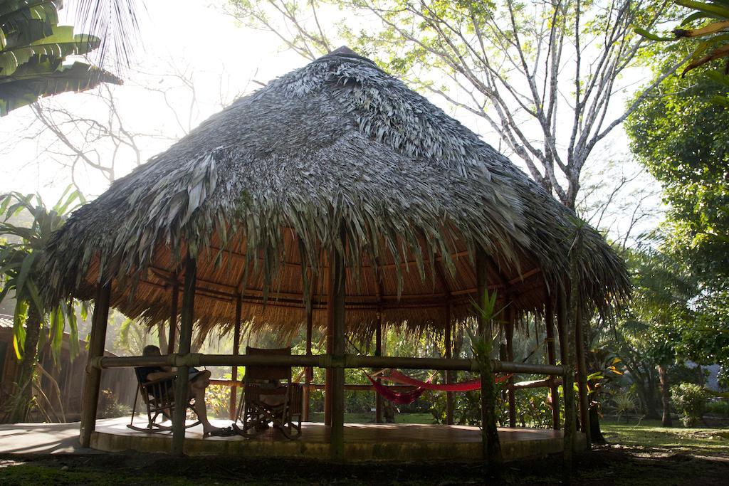 Turtle Beach Lodge Тортугеро Экстерьер фото
